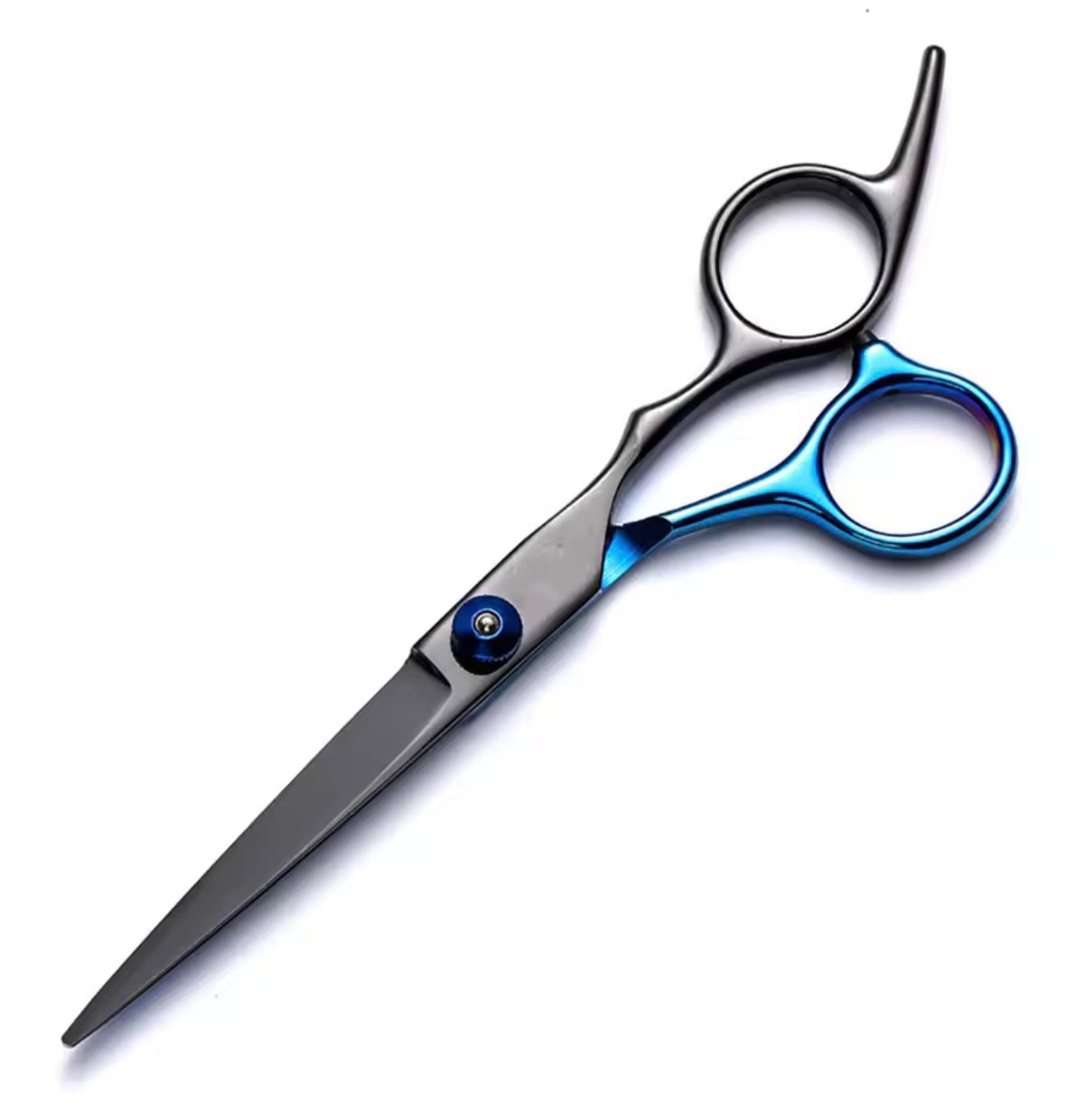 Black & Blue Stainless Steel Straight Scissors