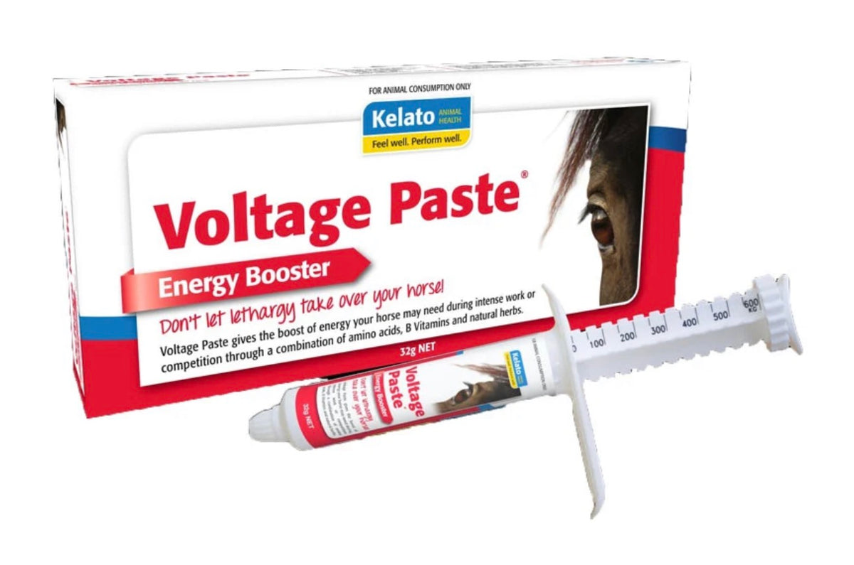Voltage Paste 32g