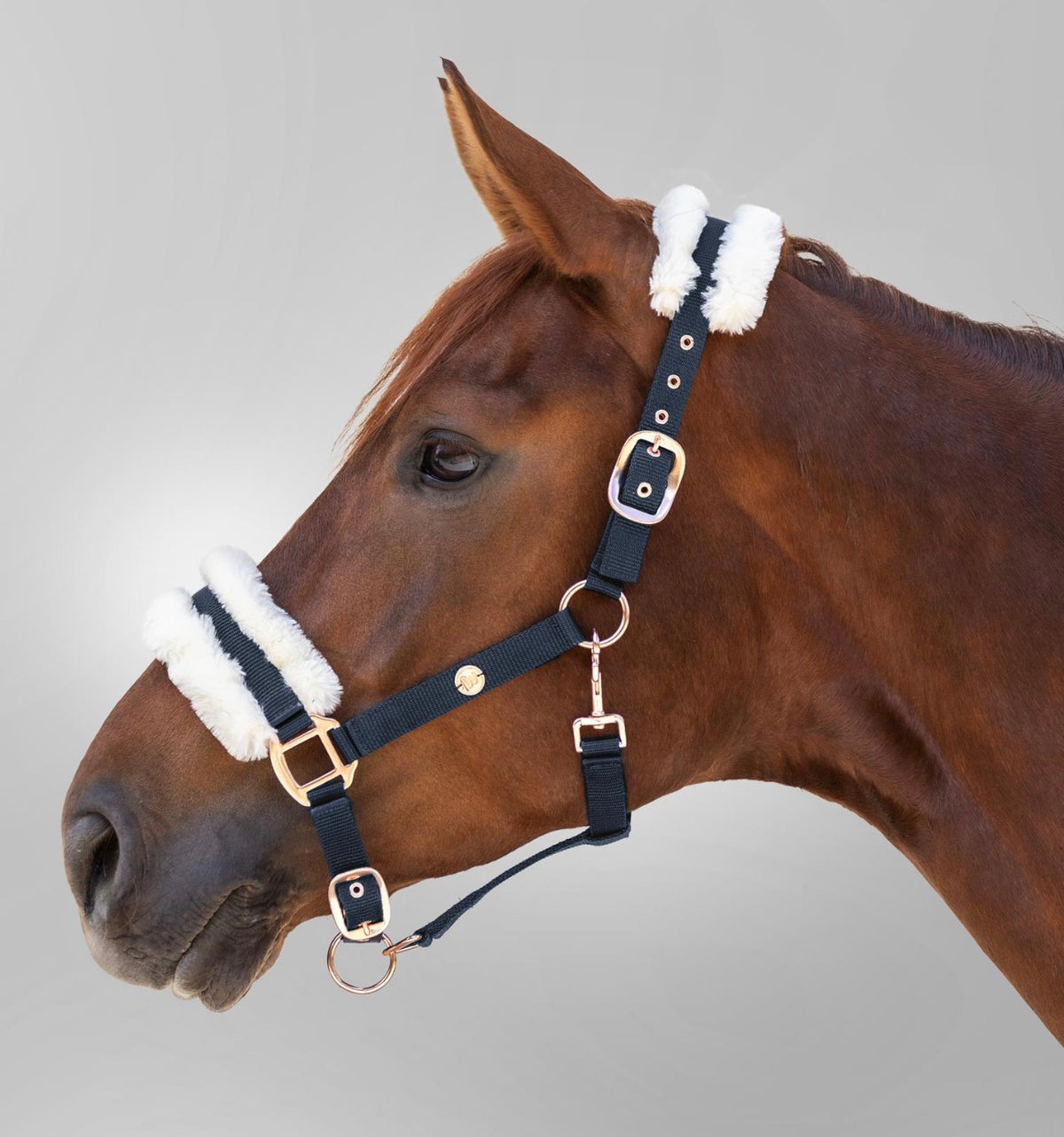 FULL - Waldhausen Halter Modern Rose Night Blue