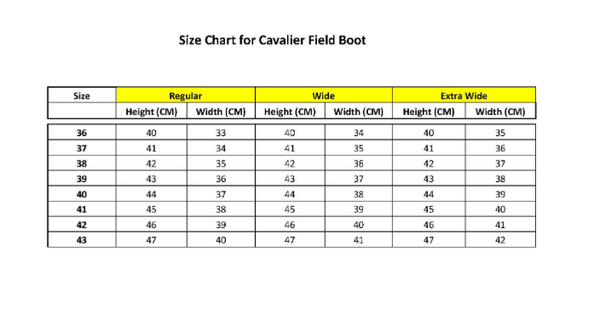 CAVALIER LEATHER TALL BOOT