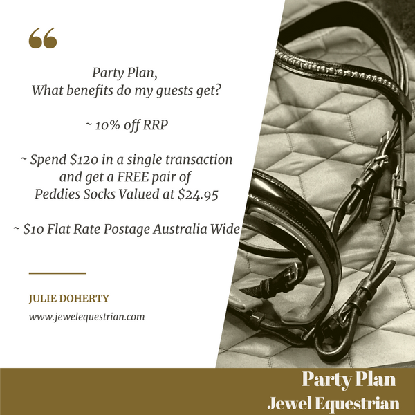 PARTY PLAN INFORMATION