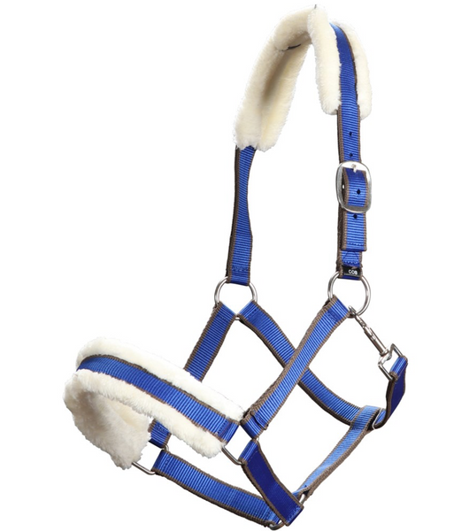 Royal Blue & Brown COB Size Halter With Fleece