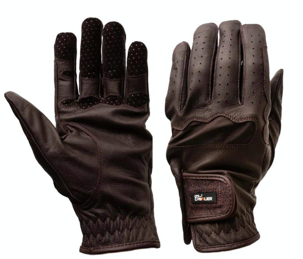 Cavalier Winston Glove