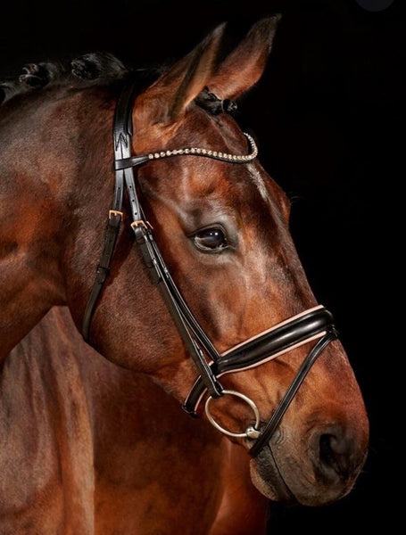 WALDHAUSEN X-LINE BRIDLE ROSÉ