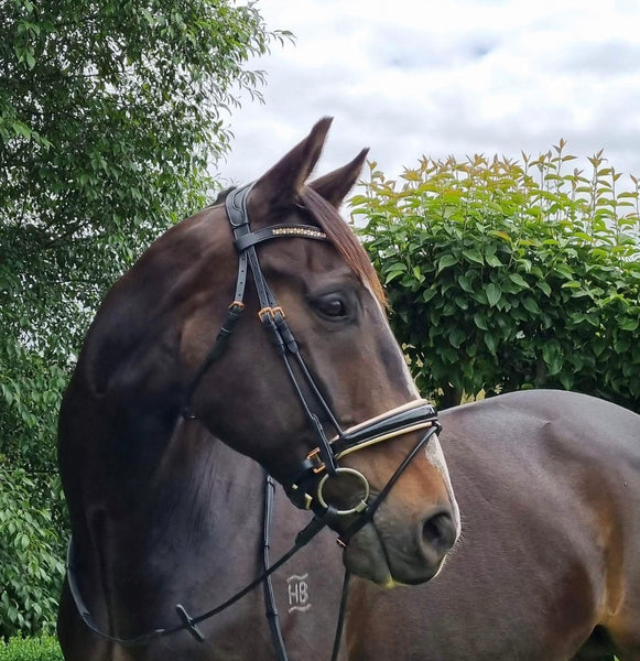 ‘Rose’ Anatomical - Semi Rolled - Snaffle