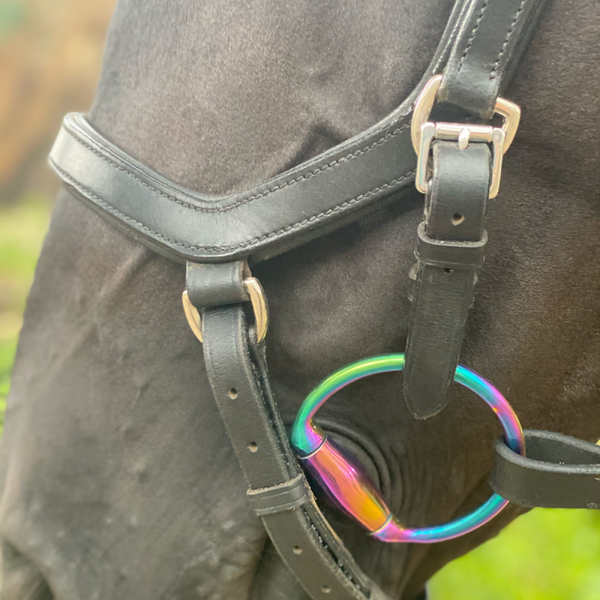 Eggbutt Oval Link Snaffle