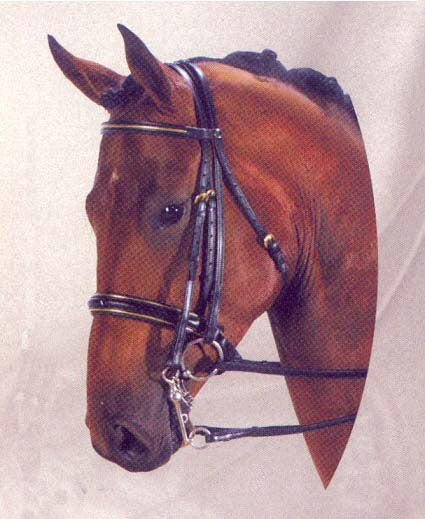 Kieffer Ulla Weymouth Bridle - Cob Size