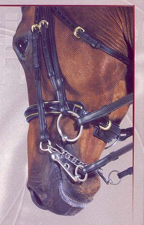 Kieffer Ulla Weymouth Bridle - Cob Size