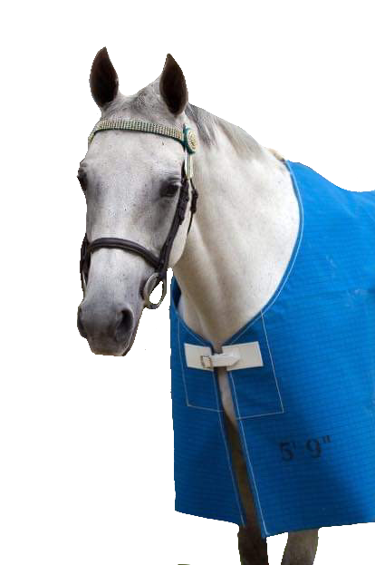 High Plains - Unlined Light Blue Tearstop Rug