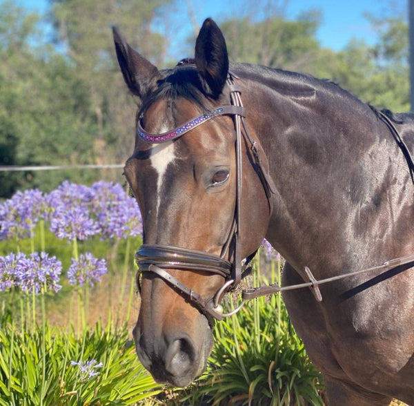 BROWN ‘Angel’ Anatomical Rolled Snaffle