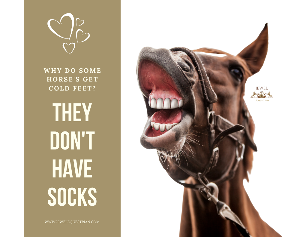 Horse Puns Memes Then Was Like Horse – Clean Memes