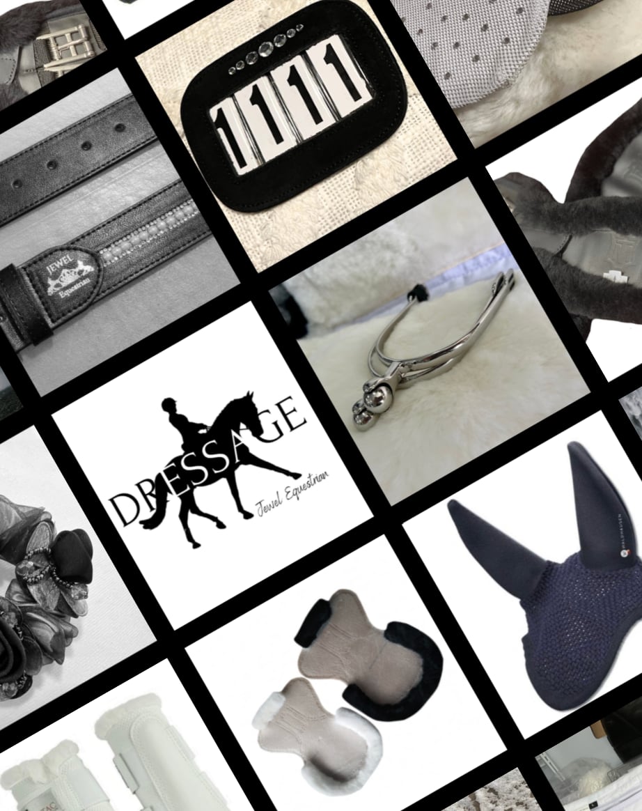 DRESSAGE COMPETITION