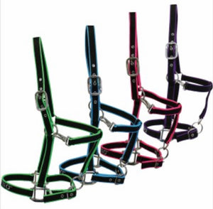 HALTERS, LEADS & LUNGING EQUIPMENT