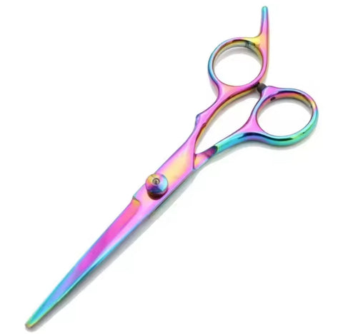 Rainbow Stainless Steel Straight Scissors