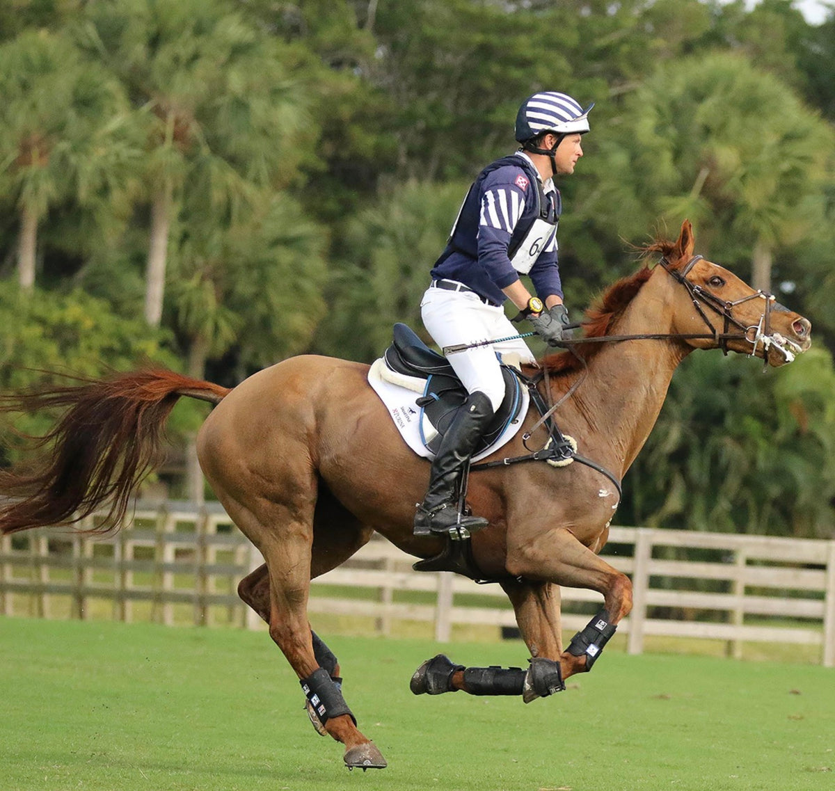 Eventing Boots in stock in Australia 