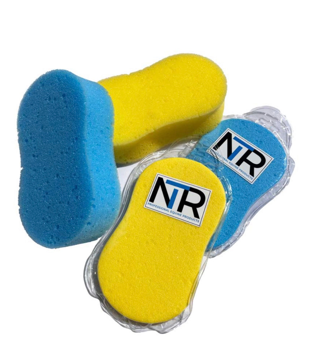 NTR - BLUE Ezi Sponge