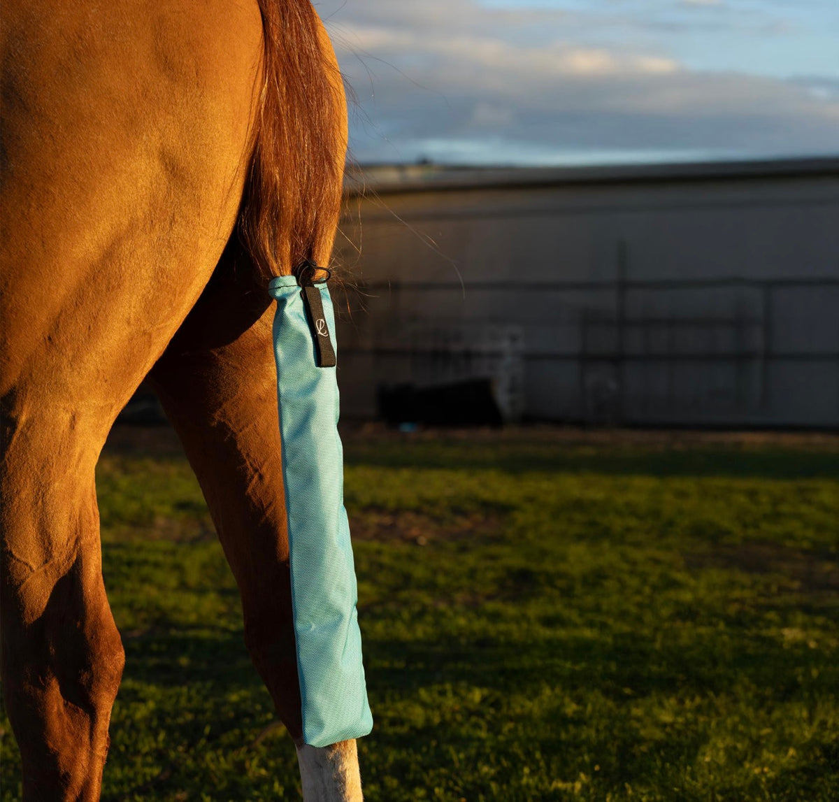 AQUA - Tie in Tail Bag