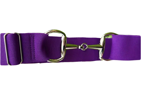 Purple Elastic Bit Belt