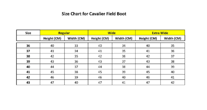 CAVALIER LEATHER TALL BOOT