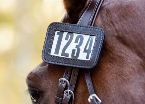 Cavalier Bridle Number Holder – 4 Digit Large