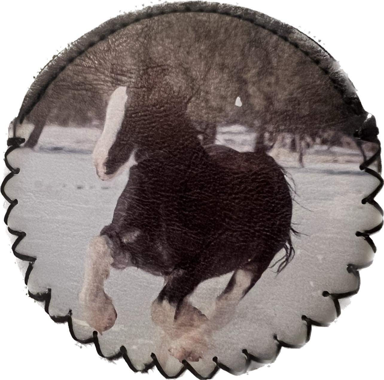 Clydesdale Coin Purse