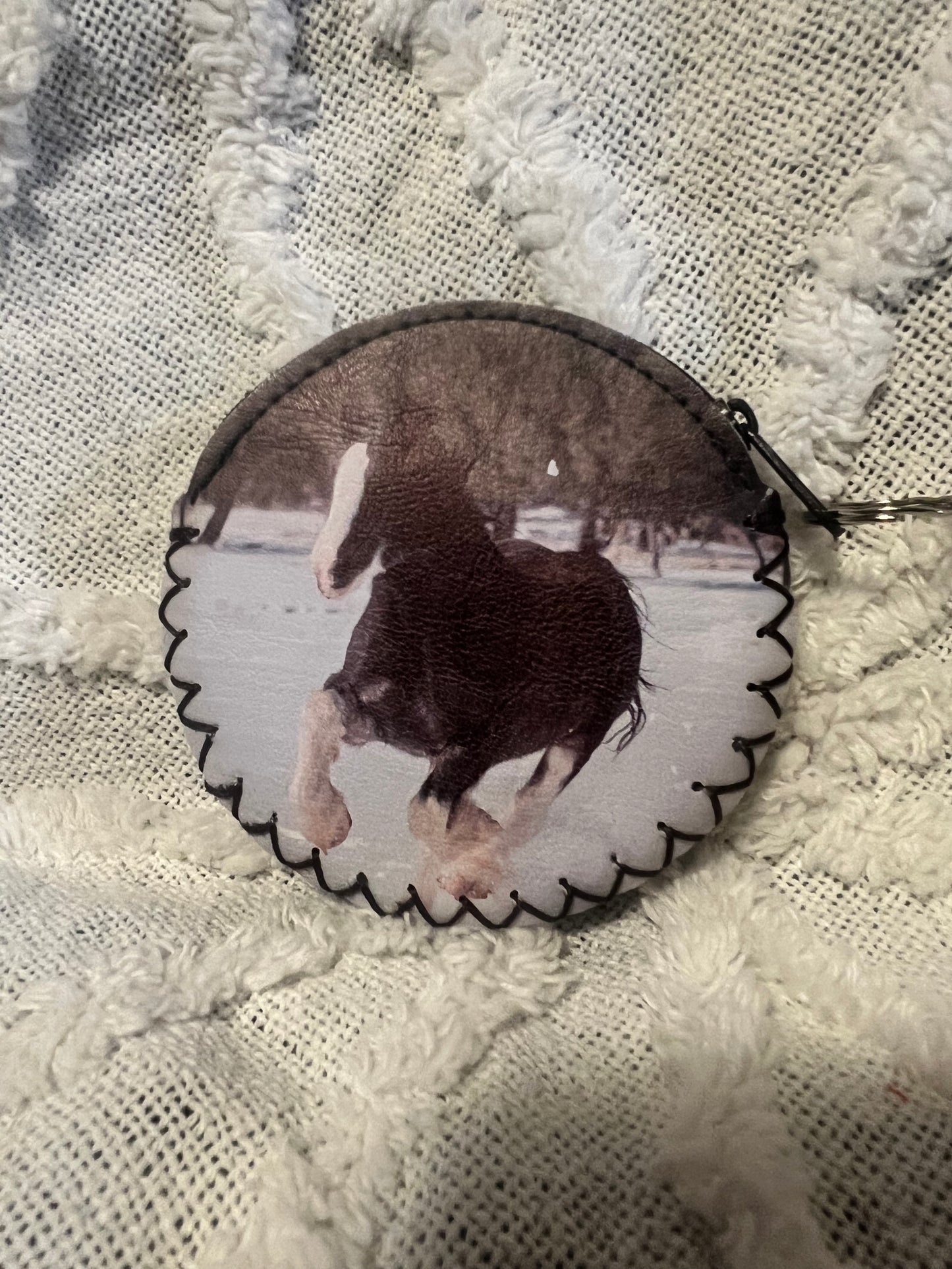 Clydesdale Coin Purse