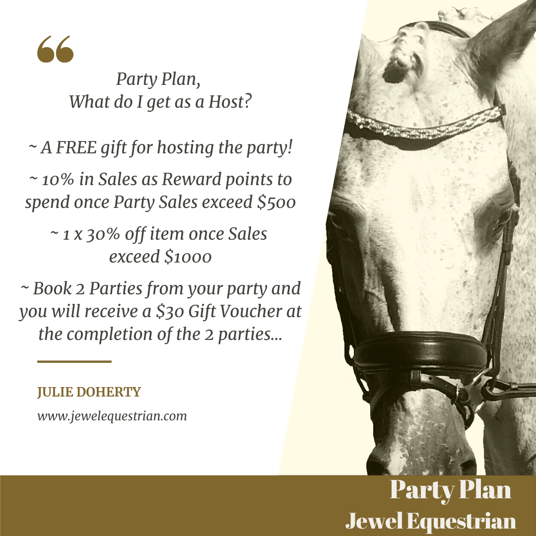 PARTY PLAN INFORMATION