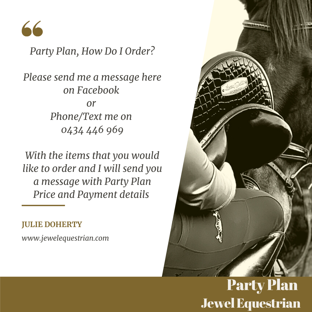 PARTY PLAN INFORMATION