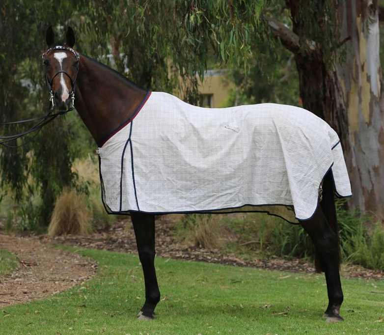 Waratah Summer Rug