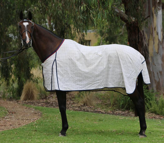 Waratah Summer Rug