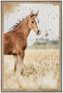 SHADOW FRAMED PAINTING 60X90 SOUL FOAL