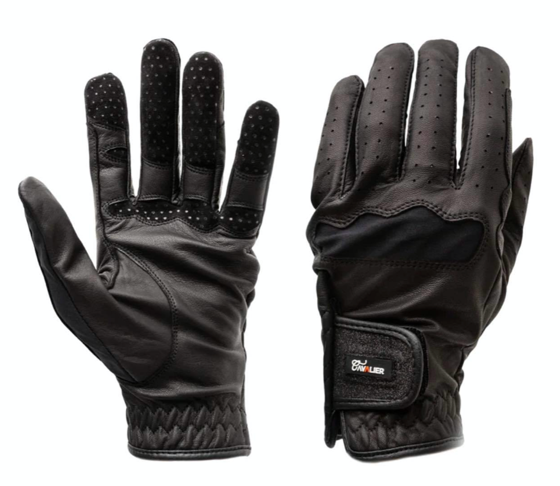 Cavalier Winston Glove