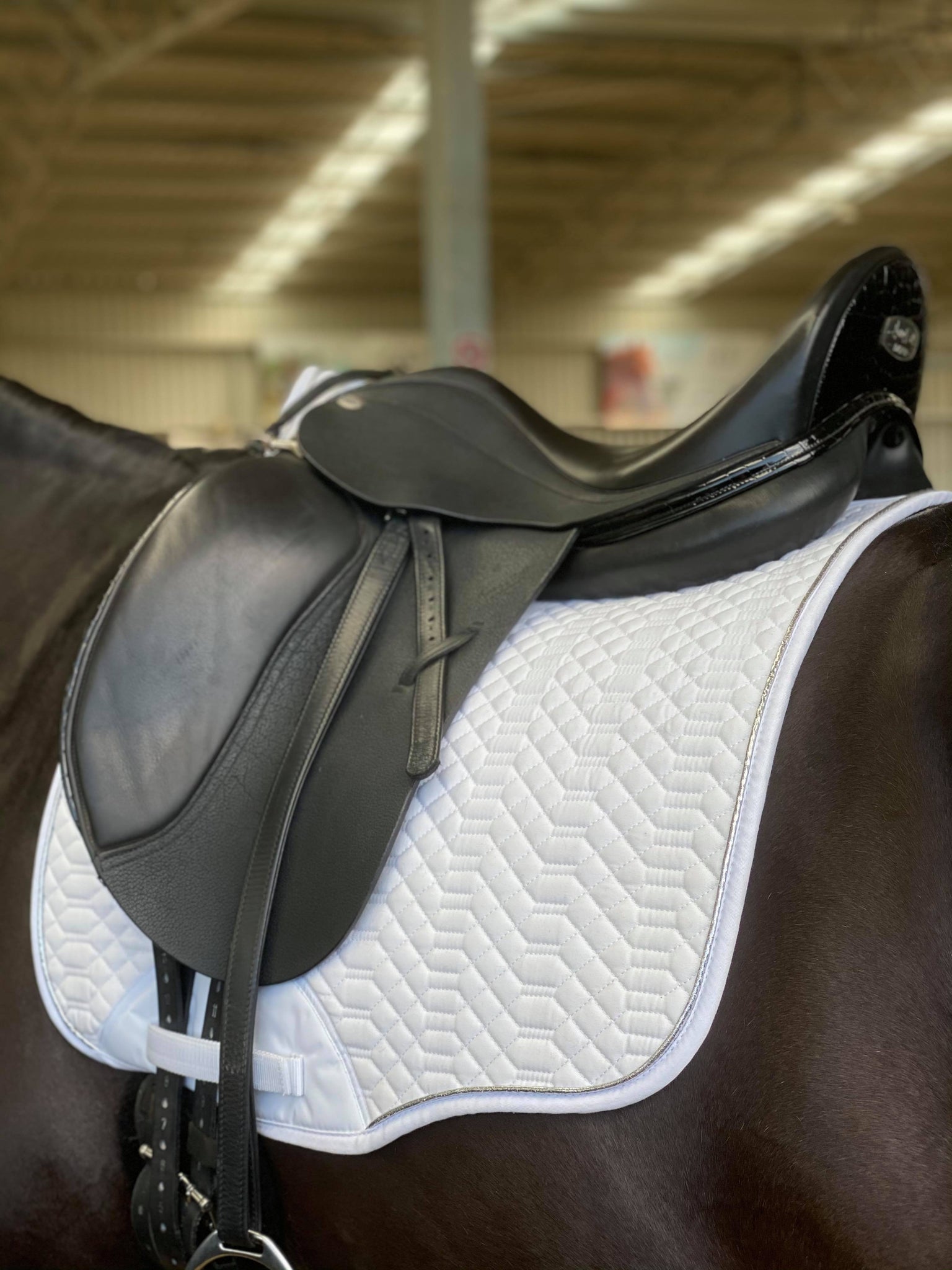 White Dressage Pad with Silver Piping
