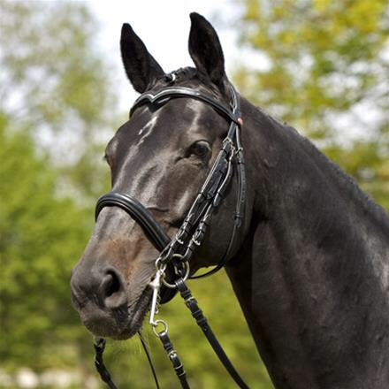 Kieffer Kathrina Cob Weymouth