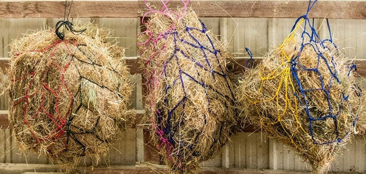 EUREKA HYBRID HAYNETS