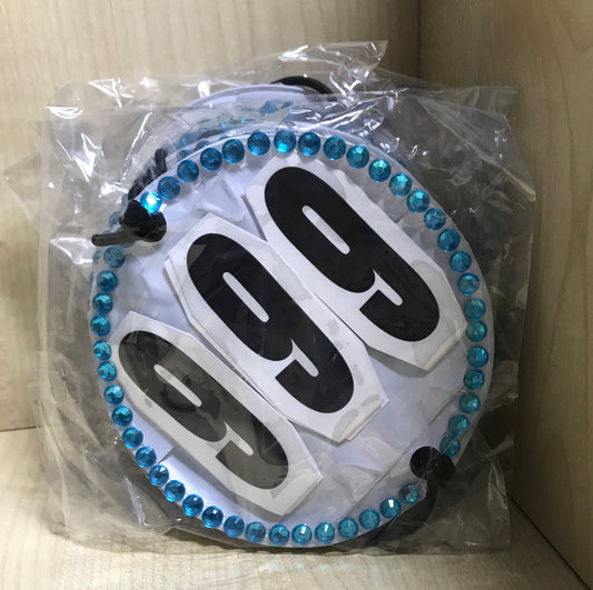 BRIDLE COMPETITION NUMBER SET