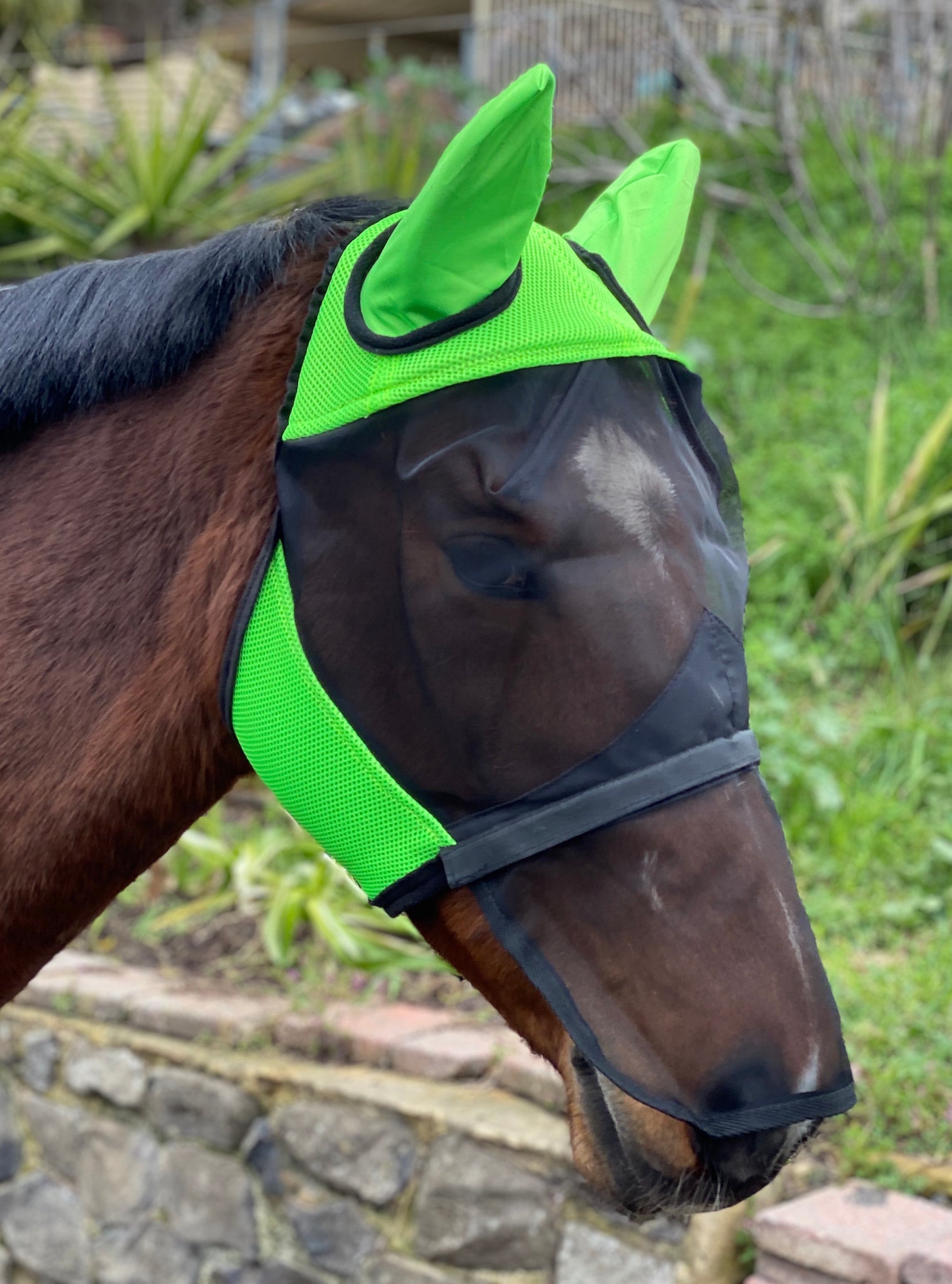 BUZZ OFF FLY MASK WITH EARS