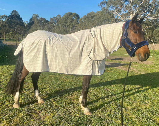 Waratah Cotton COMBO