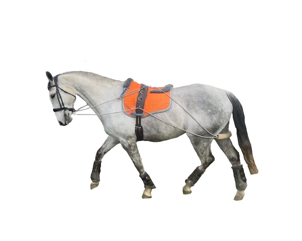 SHOWCRAFT – LUNGE TRAINING SYSTEM