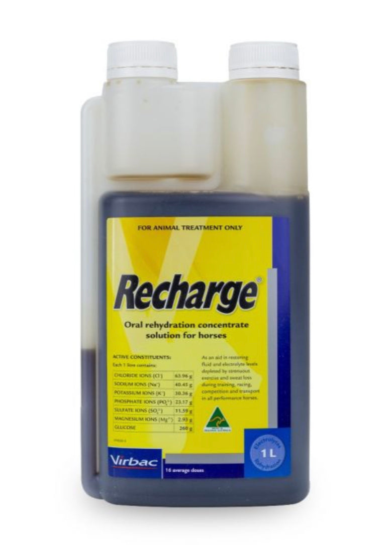 RECHARGE 1L