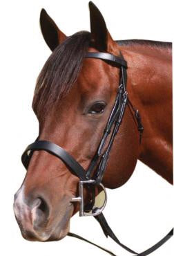 MCALISTER FLAT CNB BRIDLE
