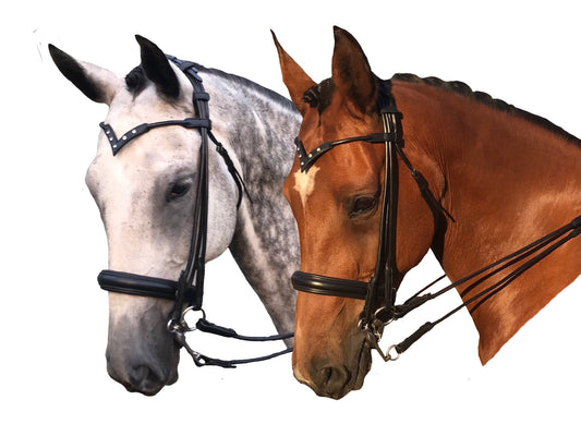 Victoria Rolled Double Bridle