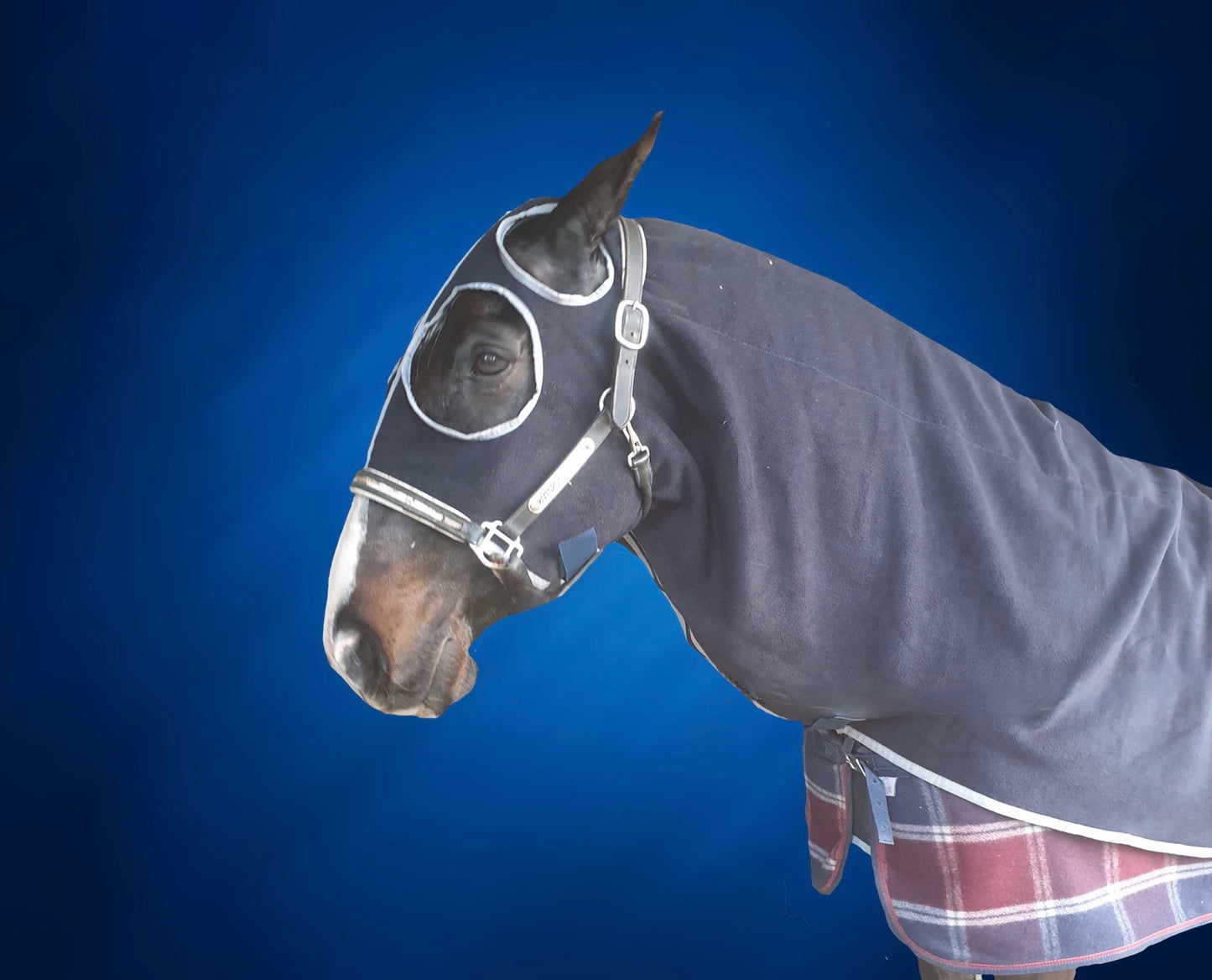 High Plains Polar Fleece Hood with Zip