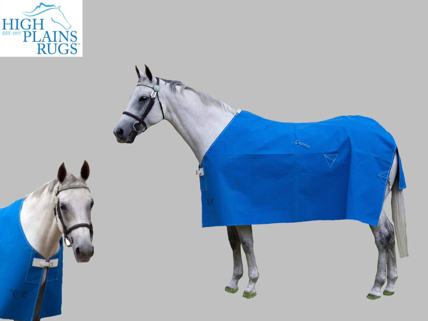 High Plains - Unlined Light Blue Tearstop Rug