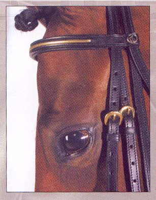 Kieffer Ulla Weymouth Bridle - Cob Size