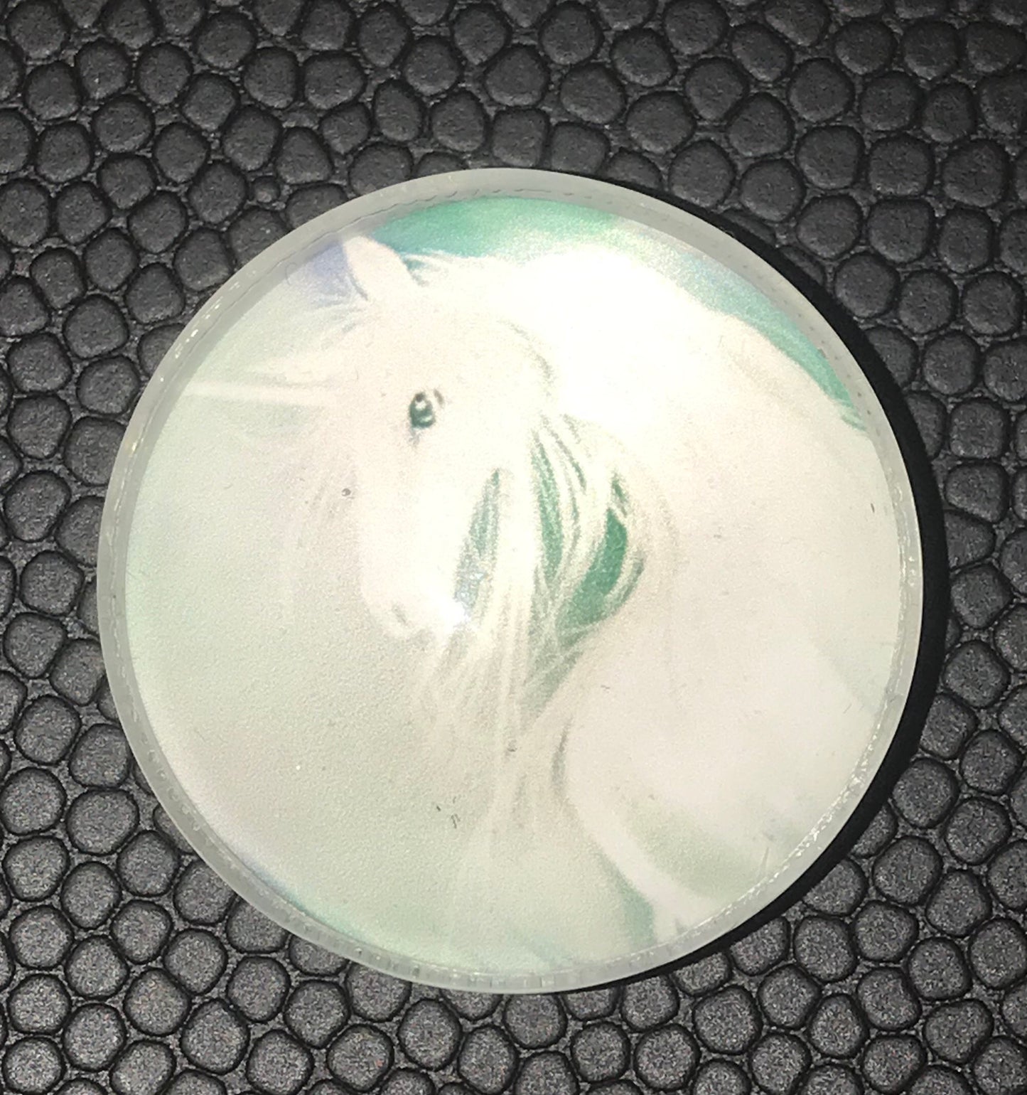 Horse Magnets