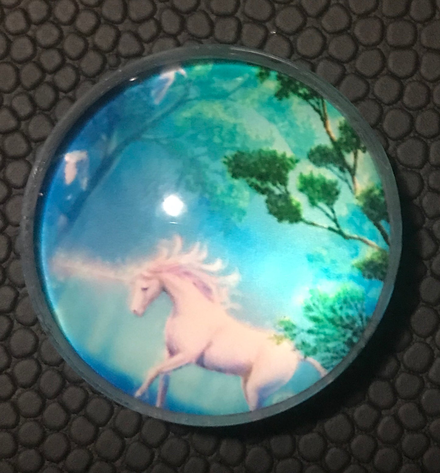 Horse Magnets