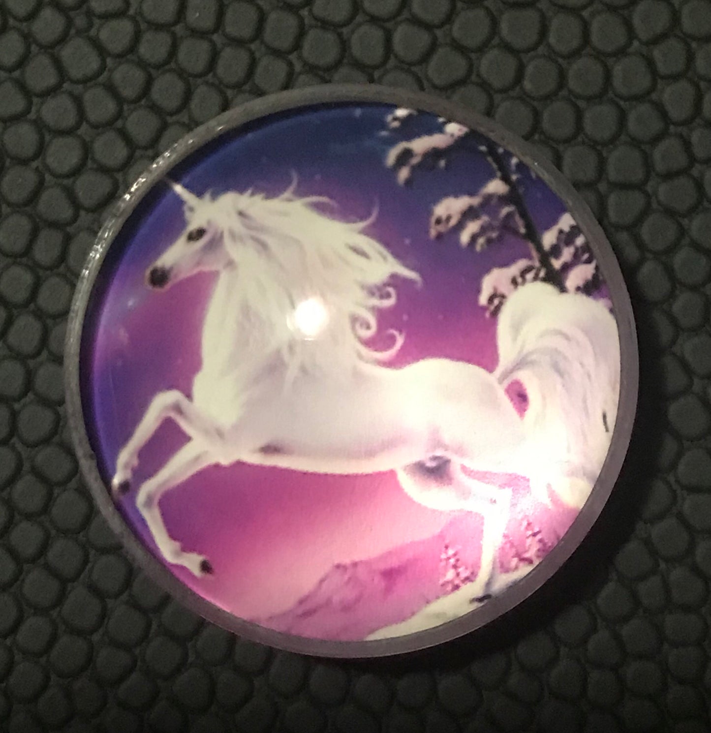 Horse Magnets