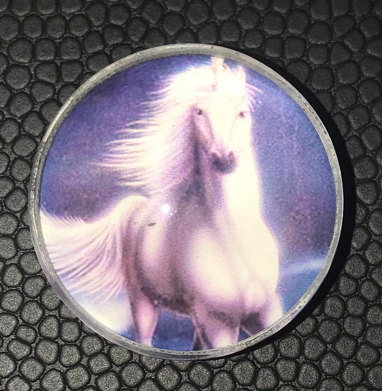 Horse Magnets